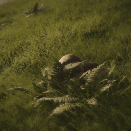 Zoom Zoomies GIF by theHunter: Call of the Wild (Official)