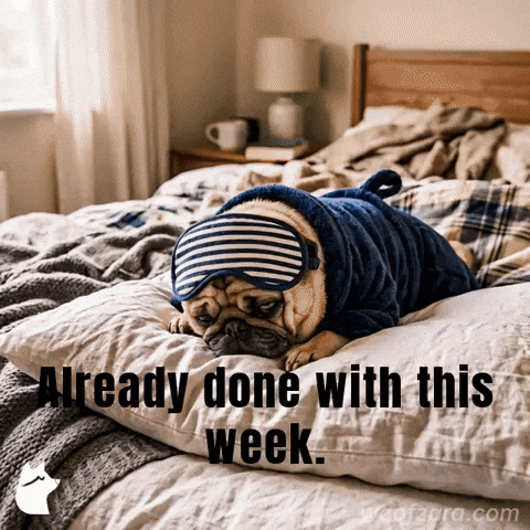 Tired This Week GIF by Woofzara