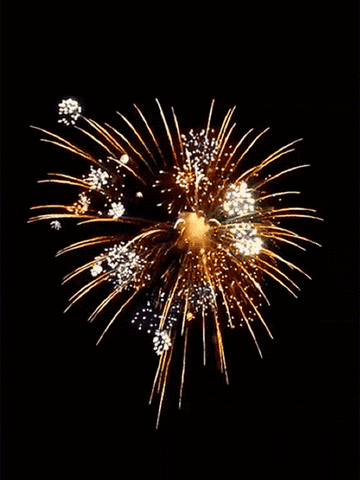 Animated Gif I Made At Fireworks Tonight >> Animals Fireworks Gifs Get The Best Gif On Giphy Animated Gif I Made At Fireworks Tonight >> Animals Fireworks Gifs Get The Best Gif On Giphy