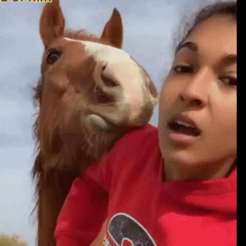 dezmineann black eating horse silly GIF