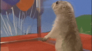 Animated GIF