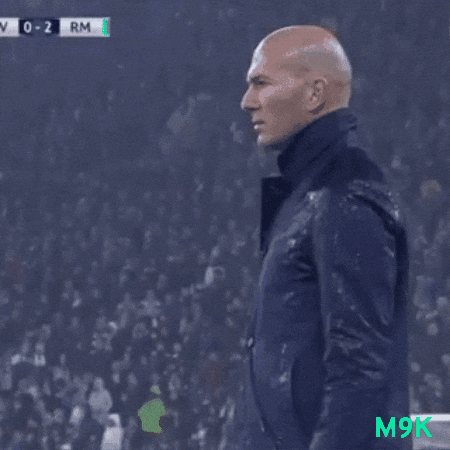Football Sport GIF