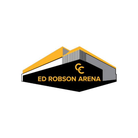 North Dakota Hockey Sticker by Colorado College Athletics