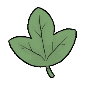 Leaves Sticker