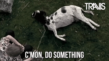 Not Moving Do Something GIF by Travis
