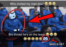 Cat Who Is He GIF by sillynub