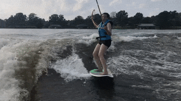 The Lake Fallout GIF by the traveling team