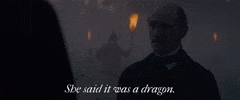 Dragon GIF by The Cursed