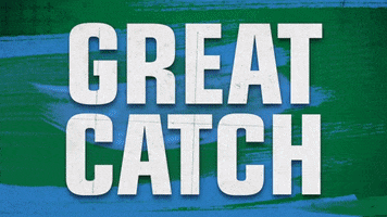 Touchdown Catch GIF by GreenWave
