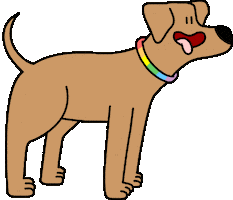 Happy Dog Sticker by Budapest Pride