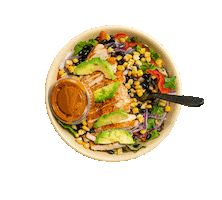 Dog House Grill Sticker