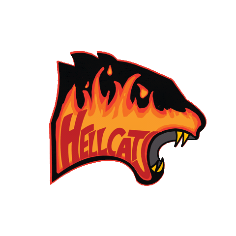 Hellcats Sticker by Orlando Roller Derby