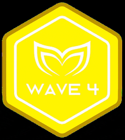 Wave4 GIF by Molchanovs