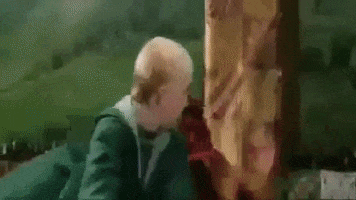 Harry Potter GIF