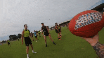 Training Afl GIF by Port Adelaide FC