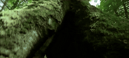 200.gif