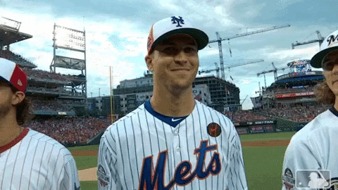 New York Mets Jacob Degrom GIF - New York Mets Jacob Degrom Ny