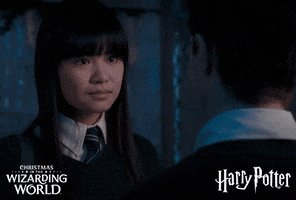 Merry Christmas GIF by Harry Potter