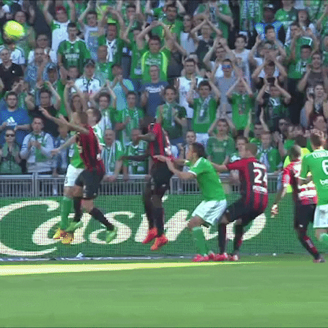 Geoffroy Guichard Football GIF by AS Saint-Étienne