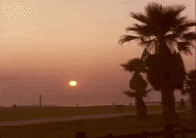 Beach GIF