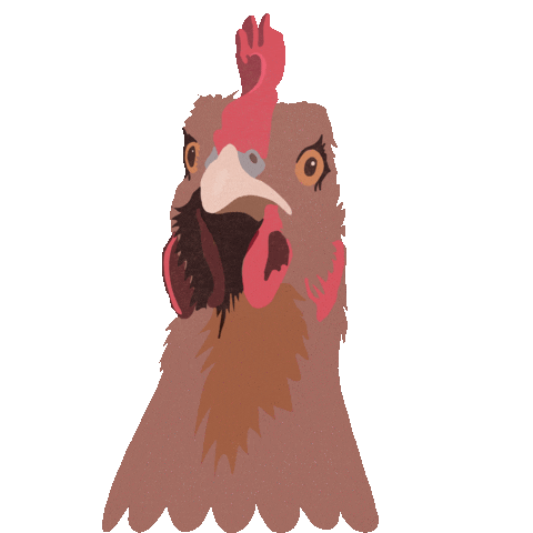 Chicken Sticker