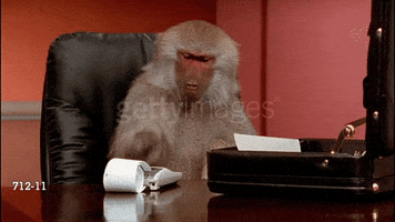 Video gif. Baboon sits behind a desk with an open briefcase and pounds furiously on the keyboard of a printing calculator.