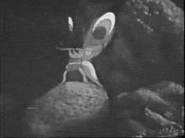 Sudsakorn 1979 GIF