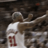 Chicago Bulls Sport GIF by NBA - Find & Share on GIPHY