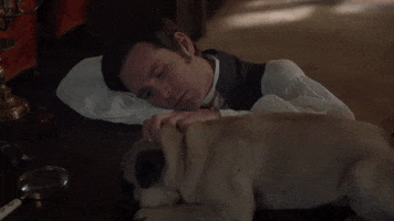 Puppy Love Family GIF by MASTERPIECE | PBS