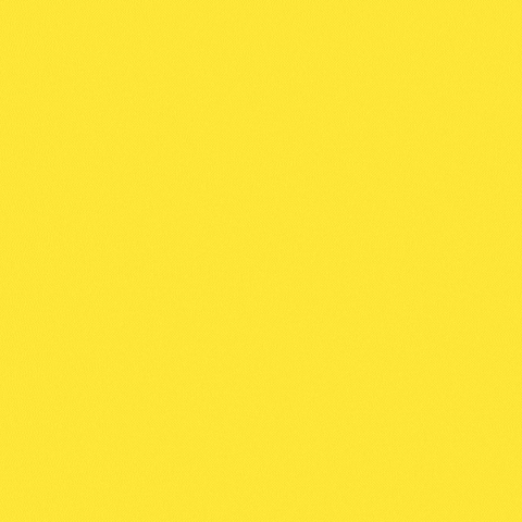 Questions With Qri GIF