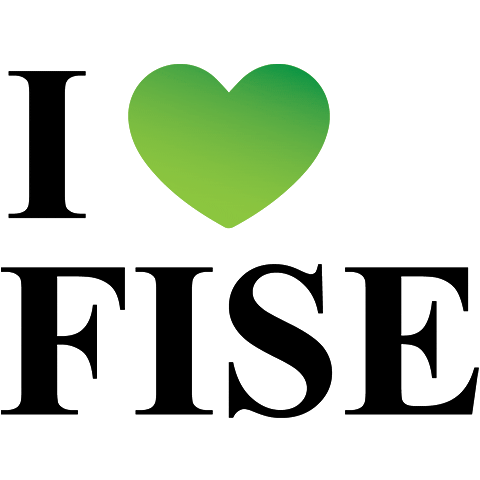 FISE Consultores Sticker