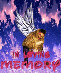 In Loving Memory Rip GIF - In Loving Memory Rip Rest In Peace - Discover &  Share GIFs