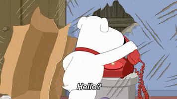 Phone Call GIF by Family Guy