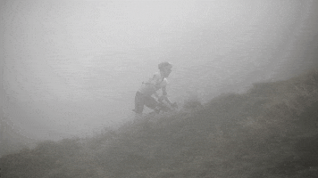 GIF by Belgian Cycling Factory