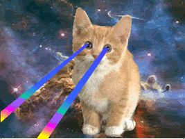 Cat Laser Eyes GIFs - Find & Share on GIPHY