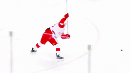 detroit red wings