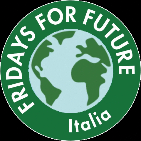 FridaysForFutureItalia climate change climate fff greta GIF