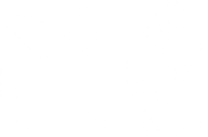 Dhdl Sticker by Mama Wong