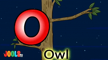 Abc Owl GIF by JOOLS TV