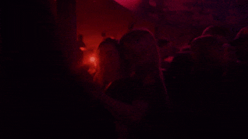 Platzhirsch Bielefeld GIF