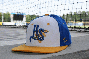 Durham Bulls GIF