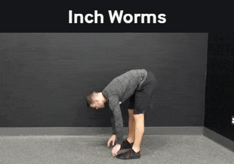 inchworms meme gif