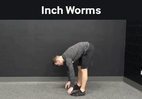 the inch worm jazz