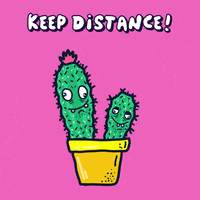 Stay Away Cactus GIF