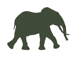 Jewelry Wtf Sticker by Wild Tomorrow Fund