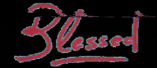 blessedstoreonline GIF