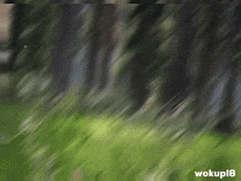 Im Out GIF