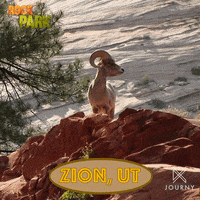 National Parks Goat GIF by Ovation TV