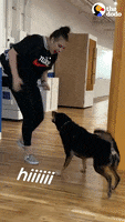 200.gif?cid=fc005b08a0c5ac558a66547cd072b74aa903125e0b53d0dd&rid=200.gif&ct=g