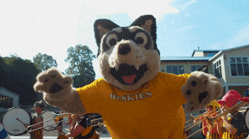 Mascot Dancing GIF by Michigan Tech